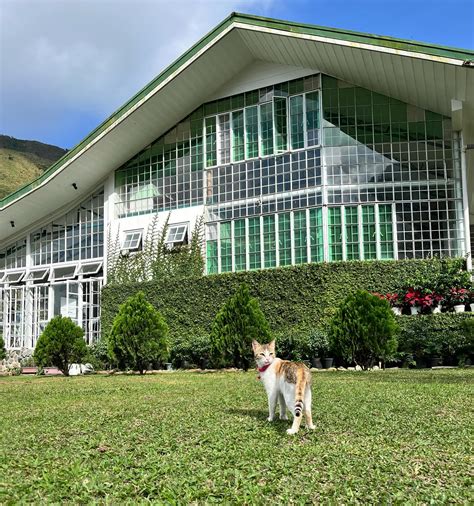 The Pet Pro Veterinary Clinic in Baguio City, Benguet .
